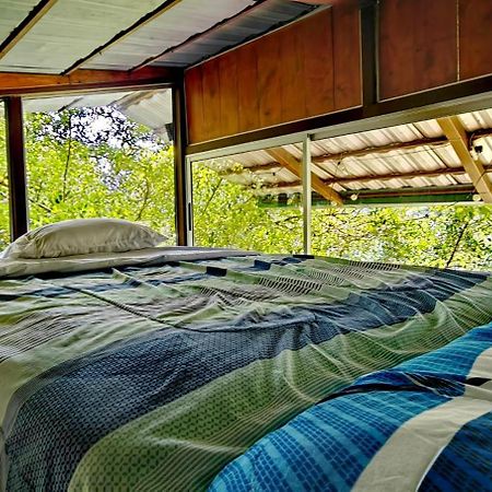 Cabana Treehouse Mountain View San Isidro  Exterior photo