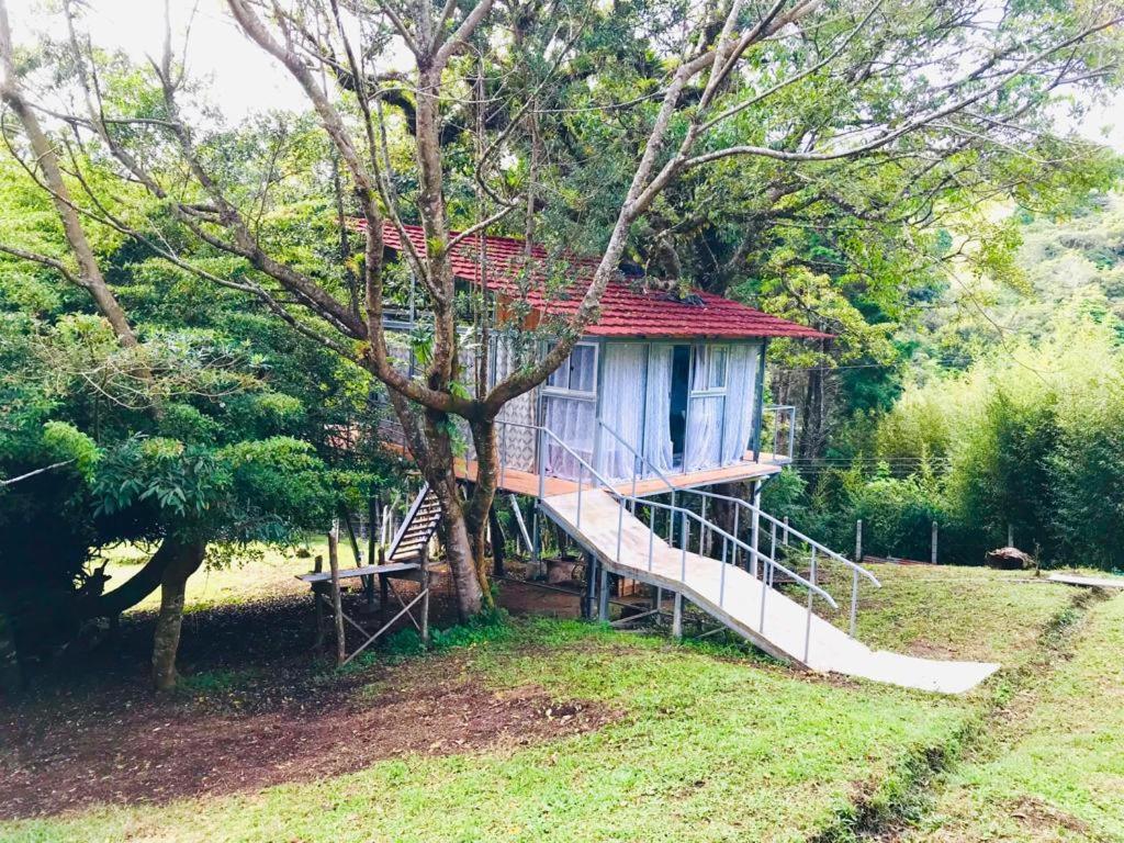 Cabana Treehouse Mountain View San Isidro  Exterior photo