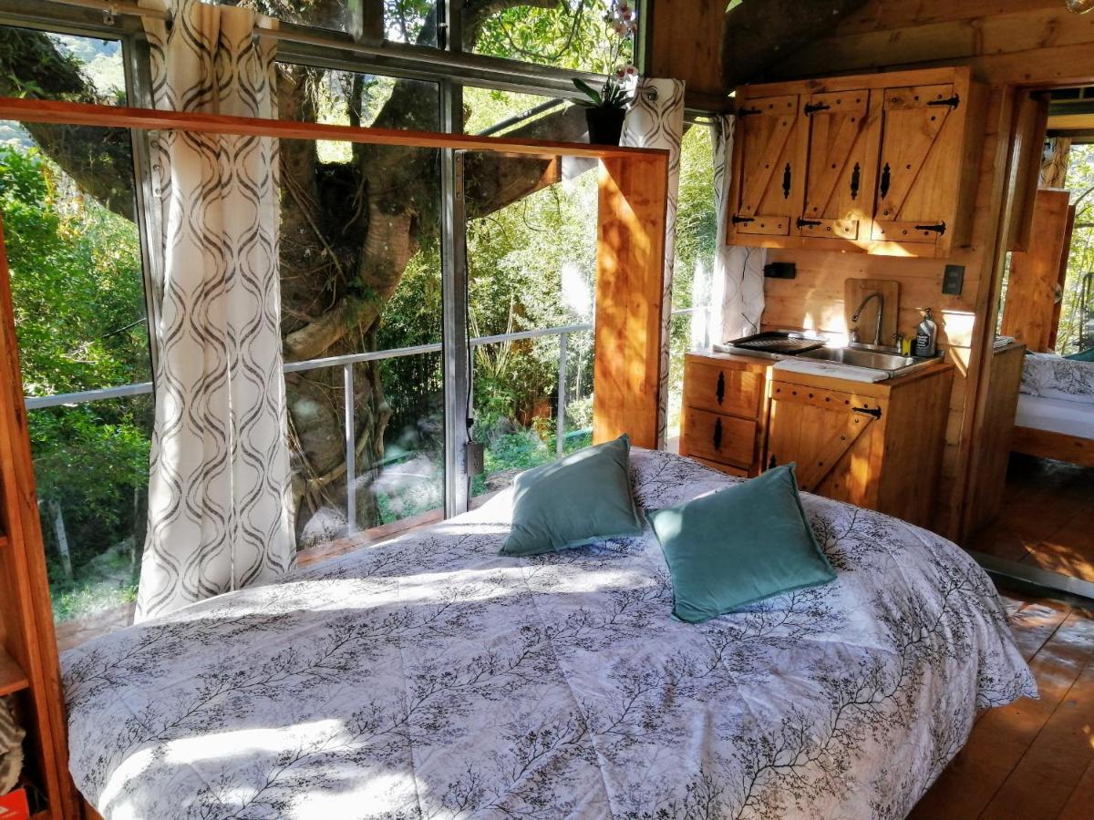 Cabana Treehouse Mountain View San Isidro  Exterior photo